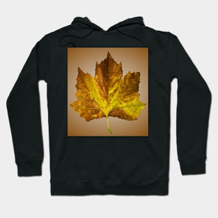 Autumn leave Hoodie